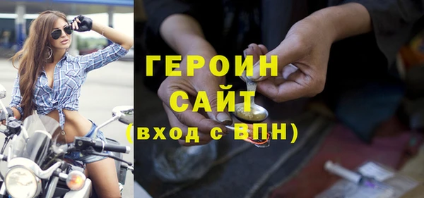 крисы Бородино