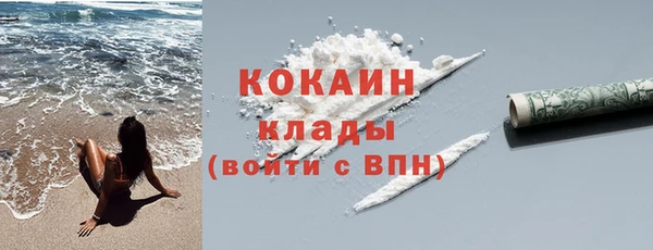 крисы Бородино