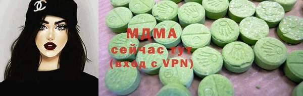 крисы Бородино