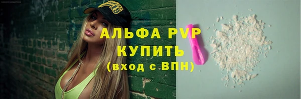 крисы Бородино