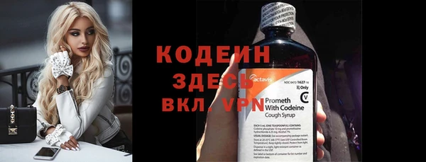 крисы Бородино