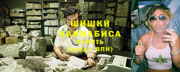 крисы Бородино