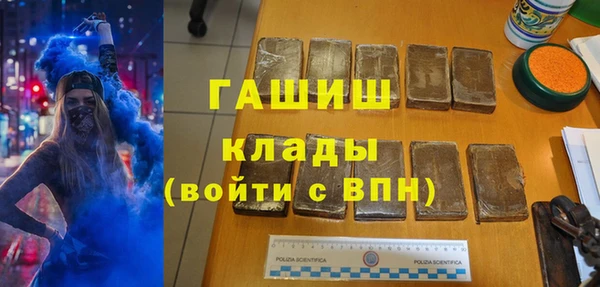 крисы Бородино