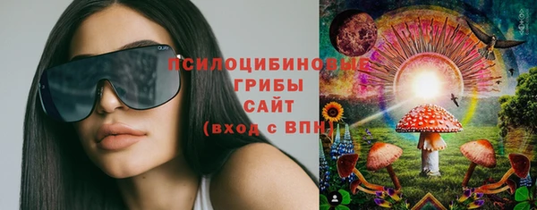 крисы Бородино