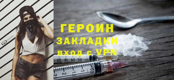 крисы Бородино