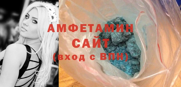 крисы Бородино
