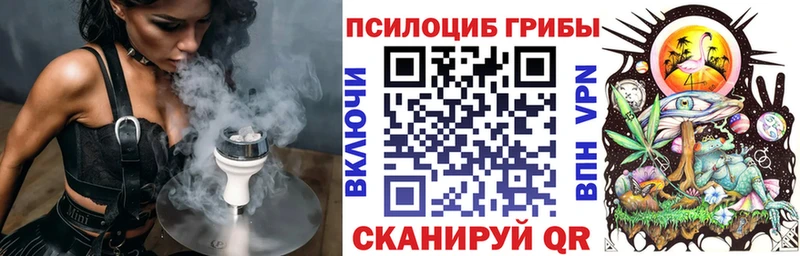 Купить где  Ковдор  Галлюциногенные грибы Psilocybine cubensis 